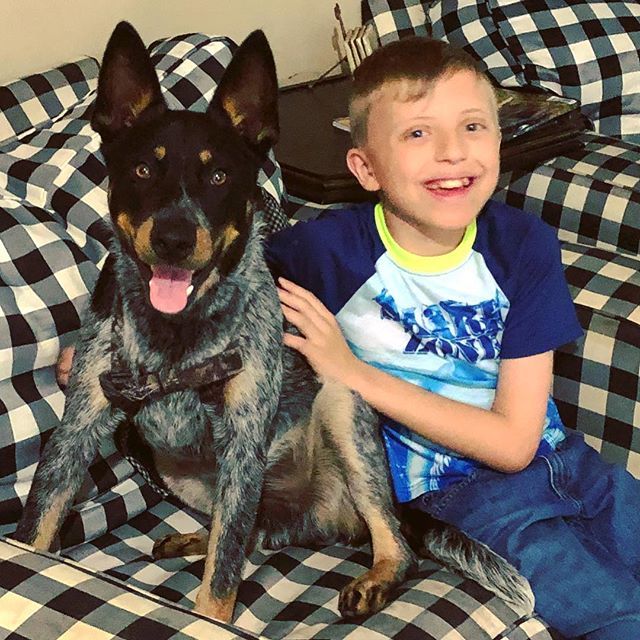 KitPalmer's tweet image. Fast friends... #bodhihook ift.tt/2ymV8iU