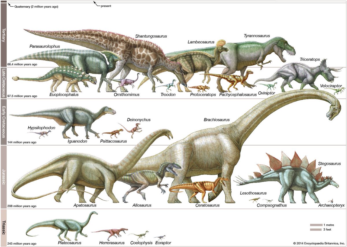 توییتر \ Encyclopaedia Britannica در توییتر: «Dinosaurs roamed the Earth for nearly 180 million years, but no single species survived for that long. For instance, Plateosaurus died out more than 100 million توییتر \ Encyclopaedia Britannica در توییتر: «Dinosaurs roamed the Earth for nearly 180 million years, but no single species survived for that long. For instance, Plateosaurus died out more than 100 million