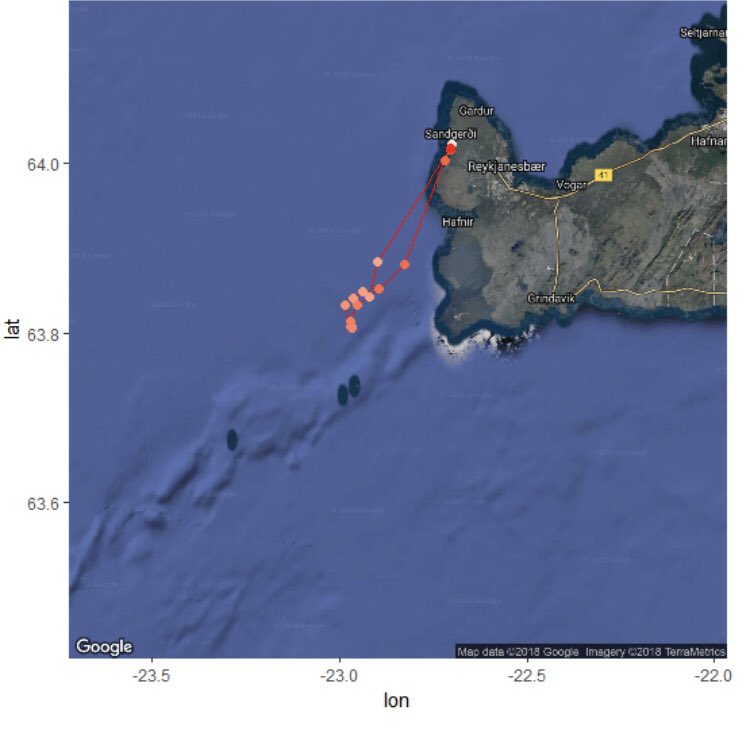 freydisvigfus's tweet photo. Very exciting first results from #ArctcTern2018 first ever GPS tracking of #ArcticTern in Iceland. Foraging trip of an incubating bird. Watch this space f further exciting news of dream team #TeamTern @DrLucyHawkes @nicoleparr12 @maxwell_lab #longestmigration @InsideNatGeo https://t.co/q8CovXpqGi