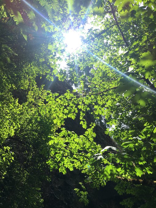 3 pic. had the most beautiful view today✨?? https://t.co/O635pcnR0D