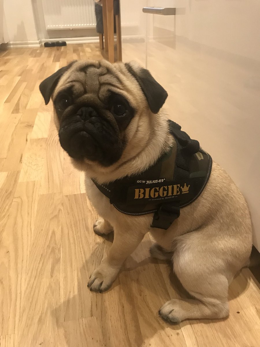 PannieKianzad's tweet image. I’m custom made 👑👑👑
#notoriousbiggie