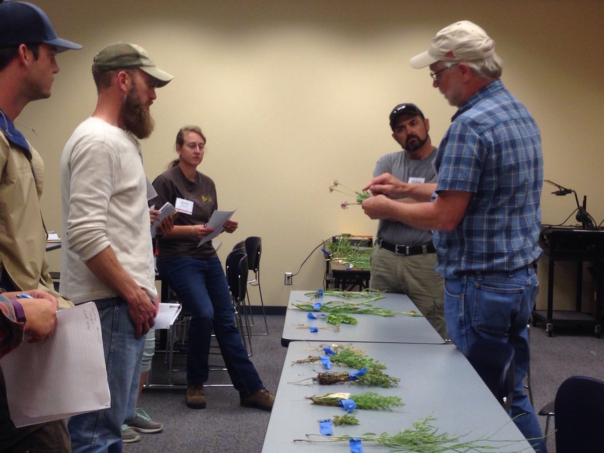 Plant ID when it rains at the #Nebraska Range Short course! <a href="/chadronstate/">Chadron State College</a> <a href="/unlagrohort/">Nebraska Agronomy and Horticulture</a> <a href="/rangelands/">Society for Range Management</a>