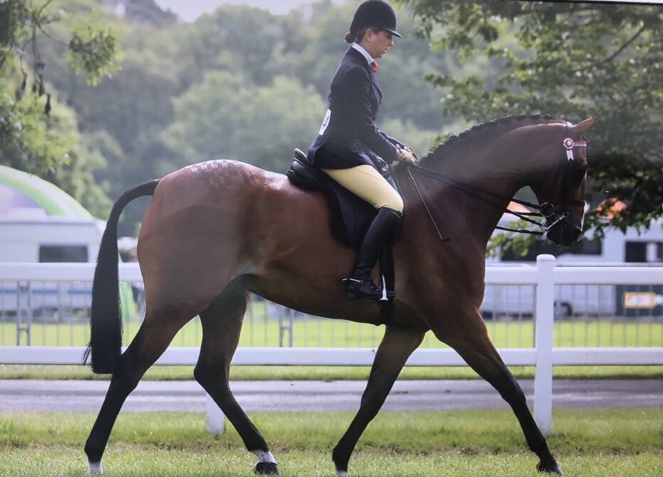 Yasmin Cuddy wins and is champion at Royal Three Counties. Means she’s qualified for Horse of Year in October 2018 <a href="/hoystweet/">Horse of the Year Show</a>