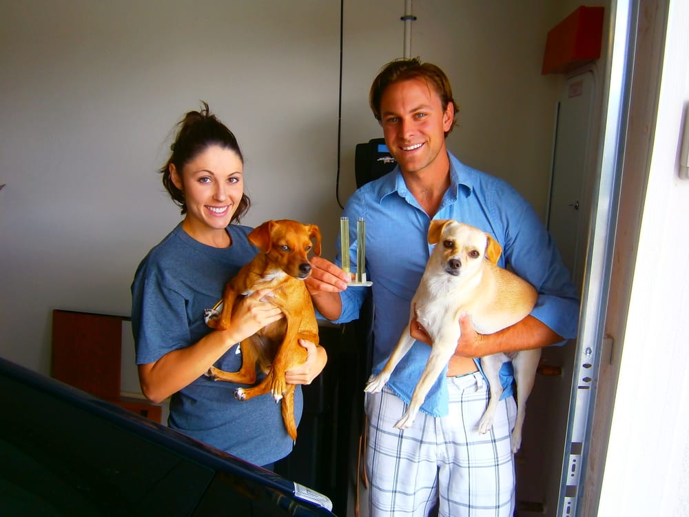 fideliselite's tweet image. bc u luv'em