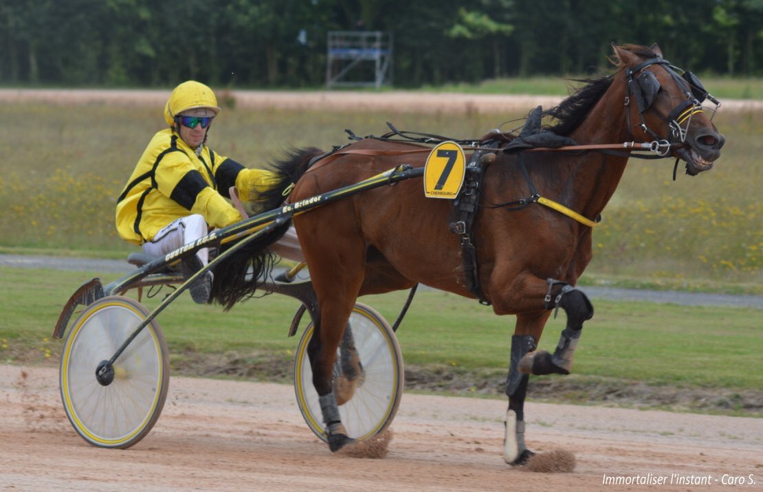 caroline_surest's tweet photo. Hier, Flash de Bucy à gagné la première course de sa carrière avec @YoyoLebourgeois sur l'@HippodromeLaGla https://t.co/Q7zRnIrRje