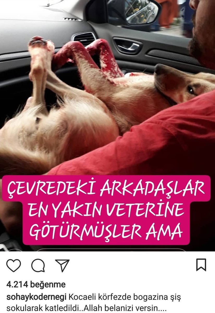 siddetvar's tweet photo. #şiddetvar
Bu milet çığrından çıktı https://t.co/NhVacH92py