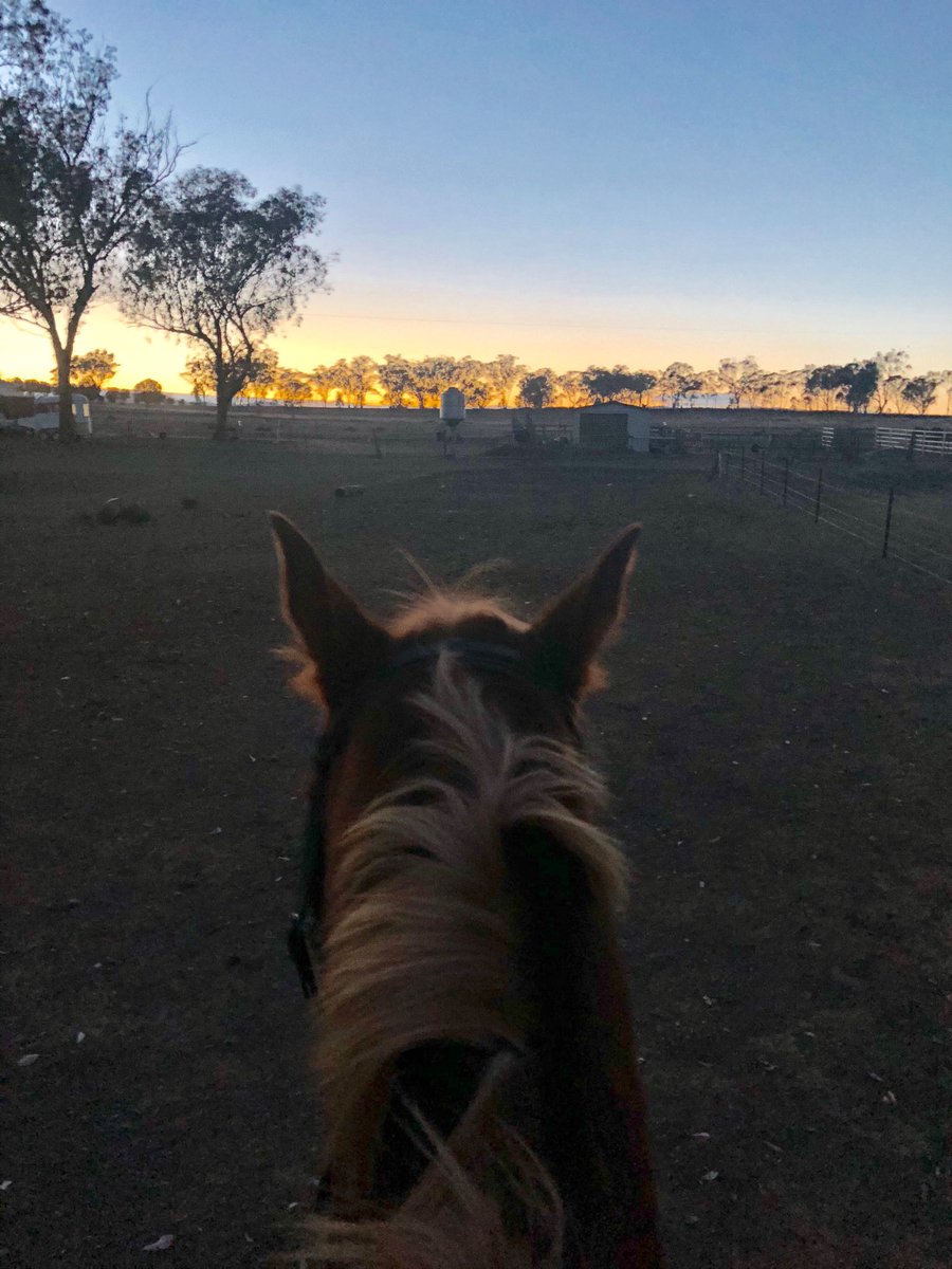MikeRowland17's tweet photo. Good winter morning to be out https://t.co/zkQqUNAODA