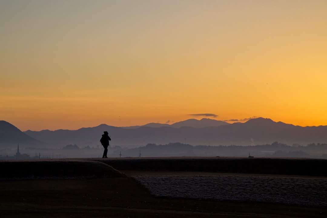 개미가 
자기 집을 
무너지는 것을 
발견 했을 때 
가장 먼저 하는 일은 
화내거나 실망하는 것이 
아닌 집지을 재료들을 
다시 모으는 일이다.
-마티아스 팸-