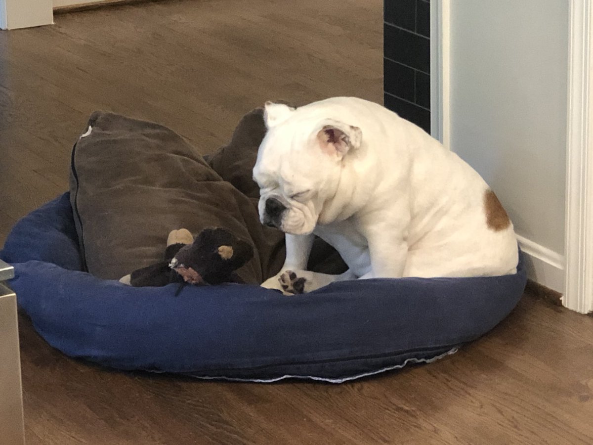 When Kindergarten has ended and the 6-year-old has been home for 6 days straight.....