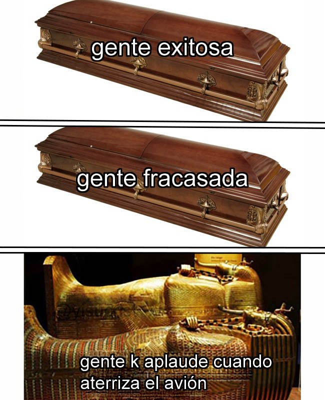estan a otro nivel intelectual respecto al resto d humanos