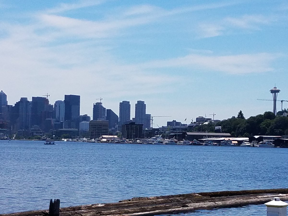 pbs twimg com media dgaroqjvaaev6nt jpg seattle police department incident report