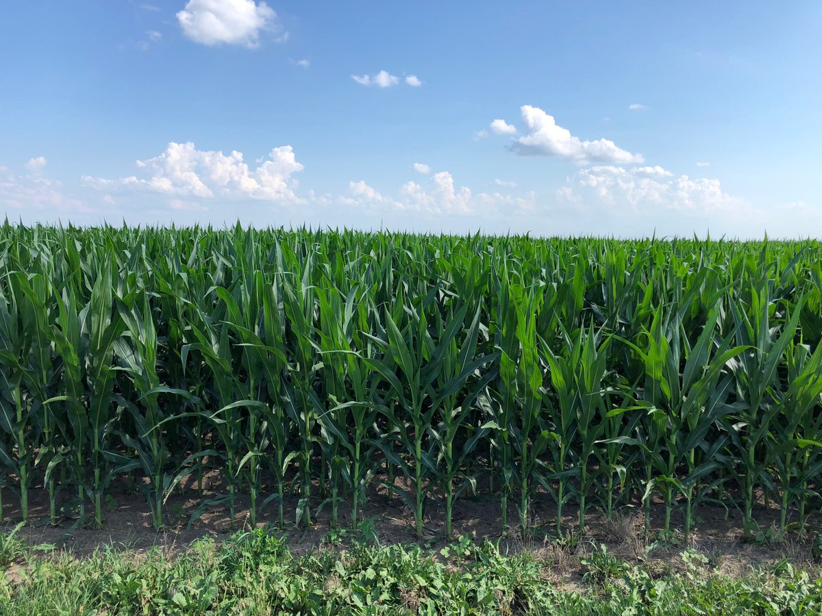 Andrew Paluska tweet media