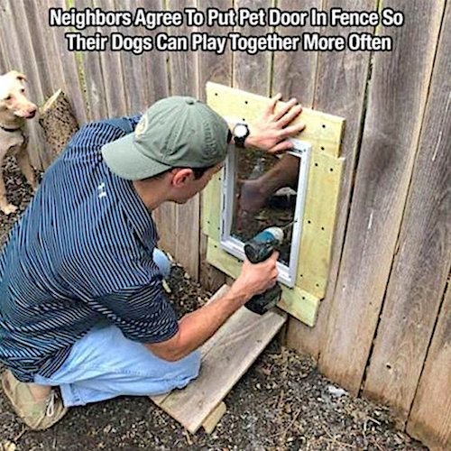 Chive Charities tweet media