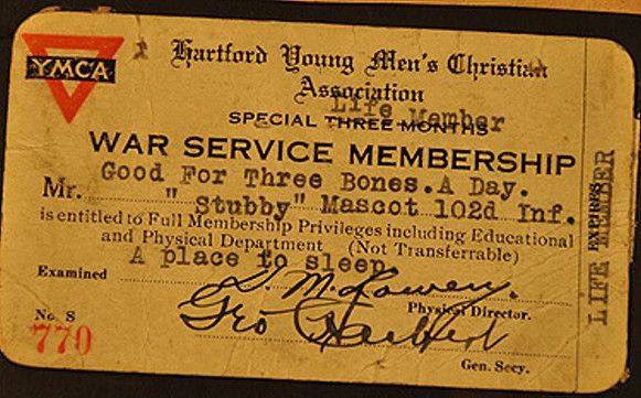 StubbyMovie's tweet photo. Did you know that after he returned from the war, Sgt. Stubby was granted a lifetime membership to The Y?
His membership was good for three bones a day and a place to sleep!
Book your trip to the world of Stubby TODAY: https://t.co/2LfLhyOA8S
@asymca #StubbyMovie #TheY #TheYMCA https://t.co/KCu7pKRidU
