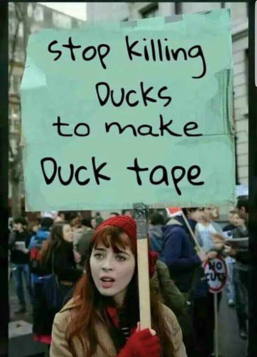 sunkfarmer's tweet photo. I've seen it all now .. 🤣🤣🤣🤣🤡🤡🤡🦆🦆🦆🦆 #quackers https://t.co/Jr9o27PU82