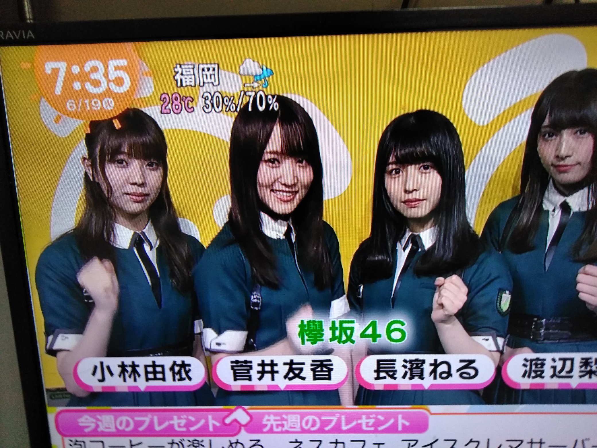 欅坂46(けやき坂46) - けんけんさん専用 欅坂46公式サイト
