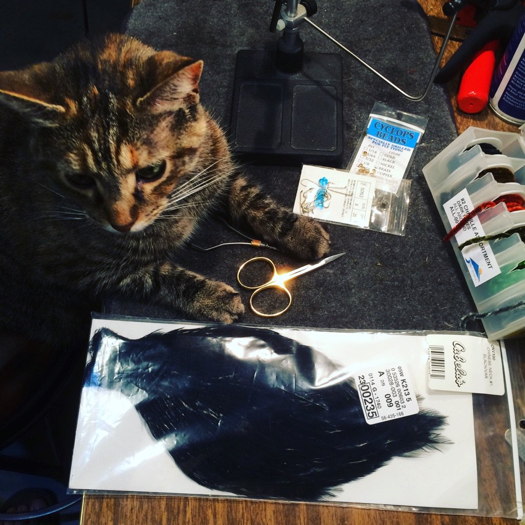 jteichel's tweet photo. My new fly tying compadre is endlessly entertained by all the fluffy, dangly, feathery bits. Now, go out and bring me the tail feathers of a purple chicken. #notmuchhelpatall #shemeanswell https://t.co/mpQjNBkBpH