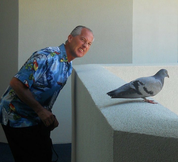 My dad insisted on having his picture taken with this pigeon that was just hanging around our hotel room #FamilyVacationFail