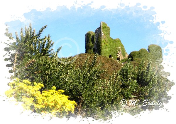 Michele Erdvig tweet media