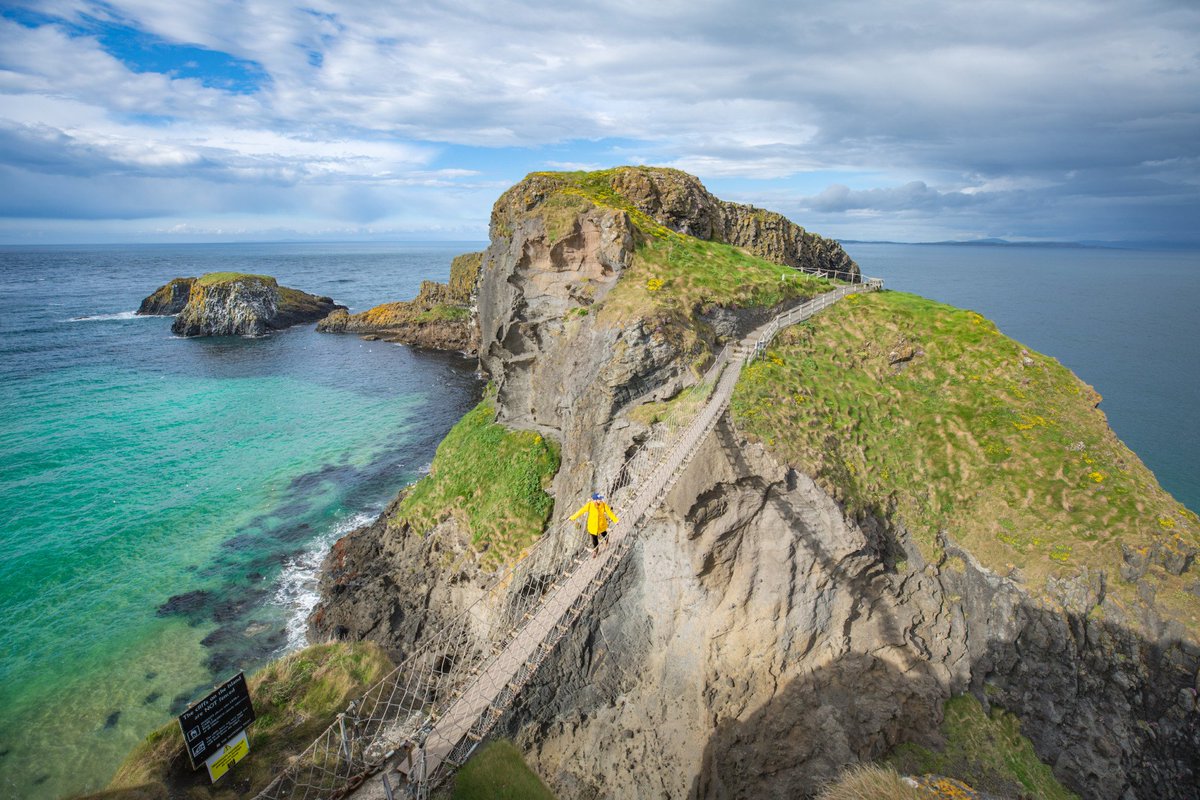 Whichiscooler App tweet media