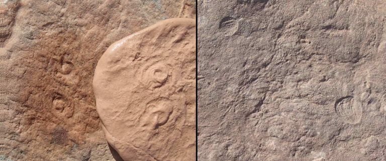TechSciReport's tweet image. Two New Creatures Discovered from Dawn of Animal Life
ucrtoday.ucr.edu/54142
