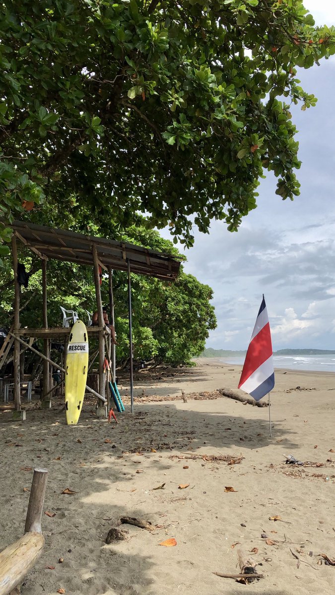 keylorcv's tweet photo. #Dominical #CostaRica #PuraVida #NatureChaser #BeachLover #TropicalForest 🏝🇨🇷 https://t.co/n8749Dd9EE
