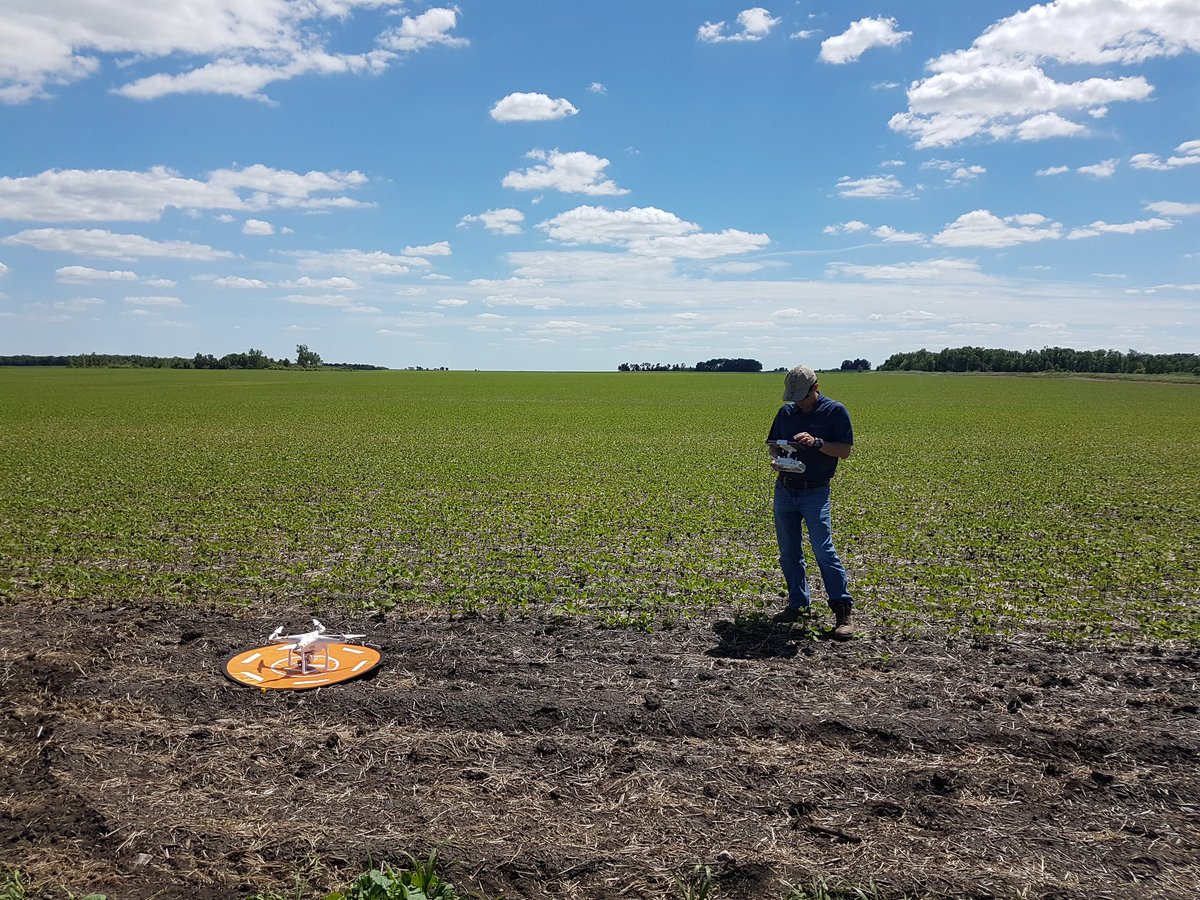 alana_serhan's tweet photo. Reason #679 why I LOVE working for @canterraseeds :The staff is genuinely interested in supplying growers with the highest quality of products!! I was lucky enough to take a look at some #CS2500CL trials today with @tsai_shaan  #clearfieldcanola #CANTERRAcanola https://t.co/WN2hIUZYkz