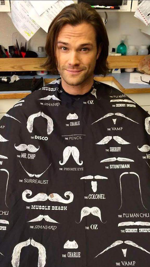 lexi_osd's tweet photo. I found Jared π #Puppylecki πΆ https://t.co/wZAjw9w9Iy