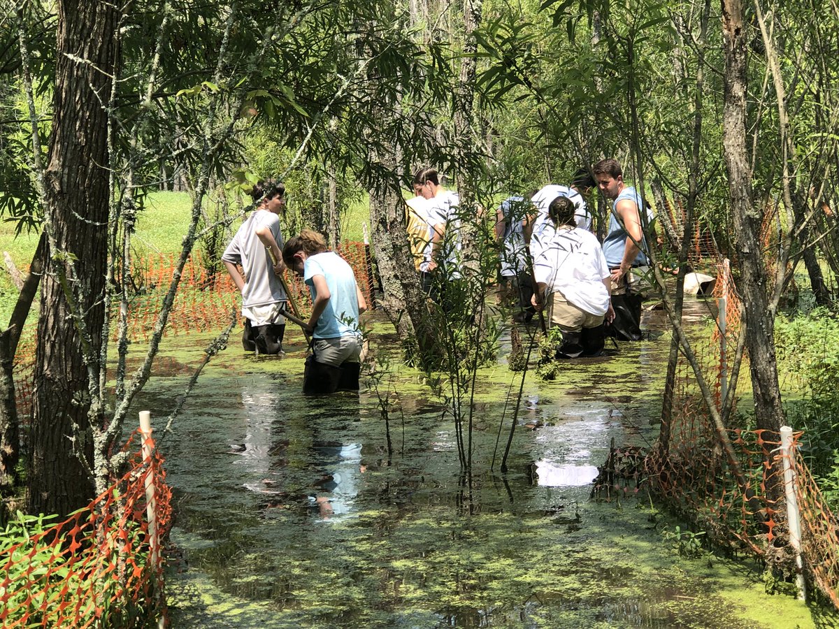 CoachStoneham's tweet image. 1st day of @SturgeonCityNC Science Institute! @nbms_sciencelab