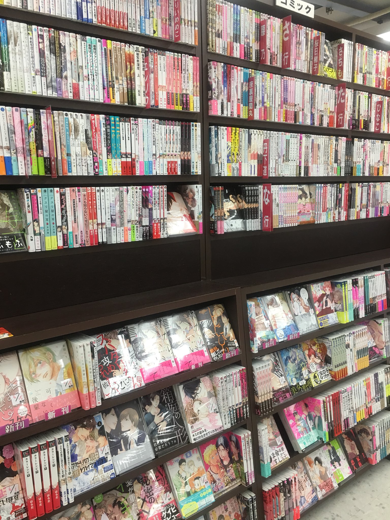 伊勢原書店 on Twitter &quot;【秦野店】【BLコミック】BLコミック棚を、著者順に並び替えました！ 好評のB+LIBRARYのコーナー