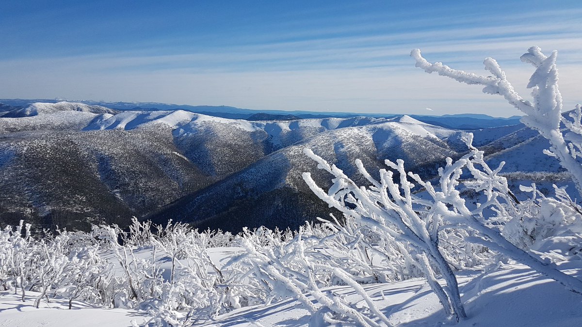 _hotham's tweet photo. 102cm of #snow at #Hotham in 2018. Mother nature revealing her great work today. ❄🏂⛷❄ https://t.co/A4mksNlPul