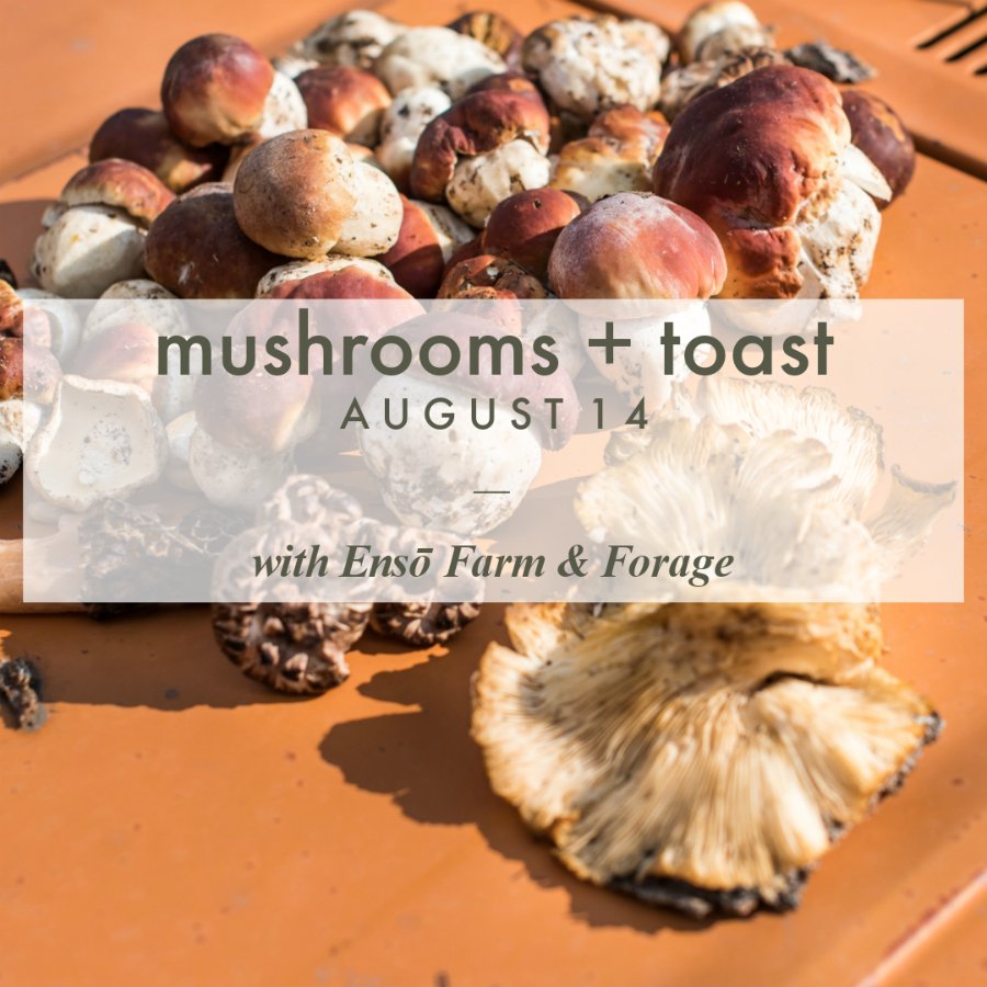 Gather + Hatch Experiences - Summer 2018 - mailchi.mp/hatchlab/gathe…