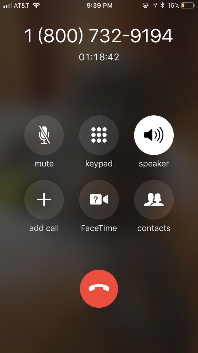 Chunks Golden tweet media