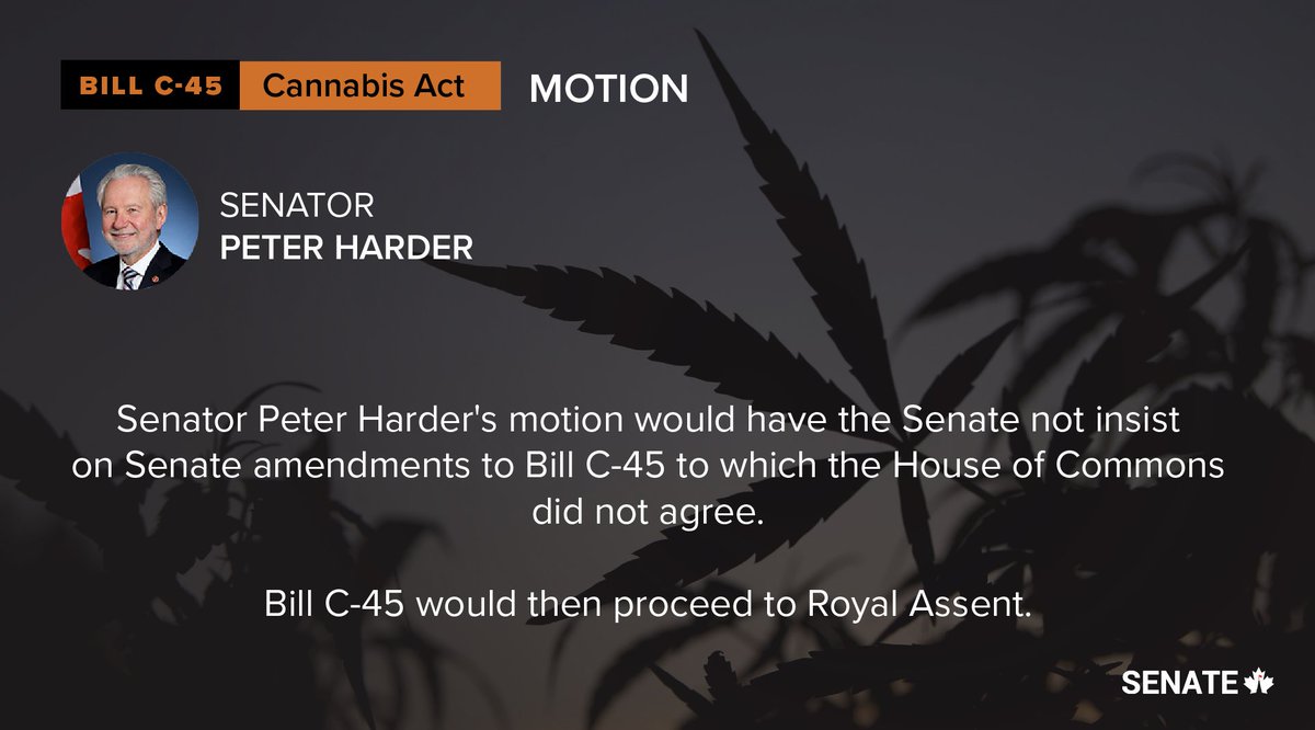 SenateCA's tweet image. Senator @SenHarder presented a motion related to the House of Commons response to the Senate's amendments to Bill #C45, in the Senate. Debate has been adjourned. ow.ly/N5rZ30gSgJQ #SenCA #cdnpoli #cannabis