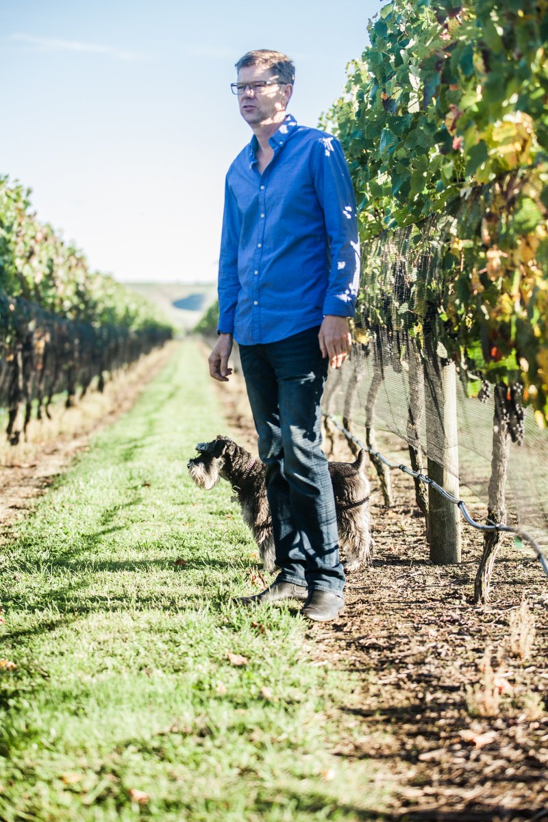 Alpha Domus tweet media