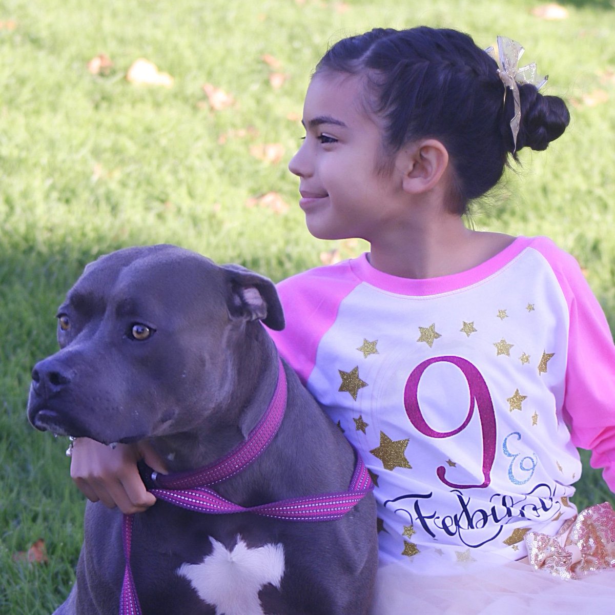 itsmelillianna's tweet photo. Dogs do speak, but only to those who know how to listen.
.
.
.
#pitbull #mydog #dontbullymybreed #bluepit #nova #dog #mygirl #blue #stunning #bestfriend #photograph #pup #dogdays #monday #motivation #quote #animal https://t.co/esh6GX5biV