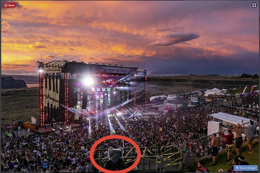 Avian Invasion tweet media