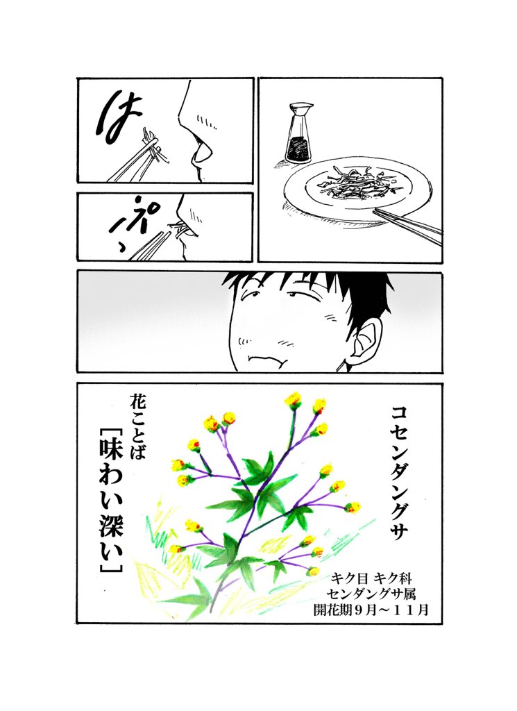 花漫画(コセンダングサ)
おっさんガーデニング奮闘記!
趣味の漫画です。
#花言葉 #ガーデニング 