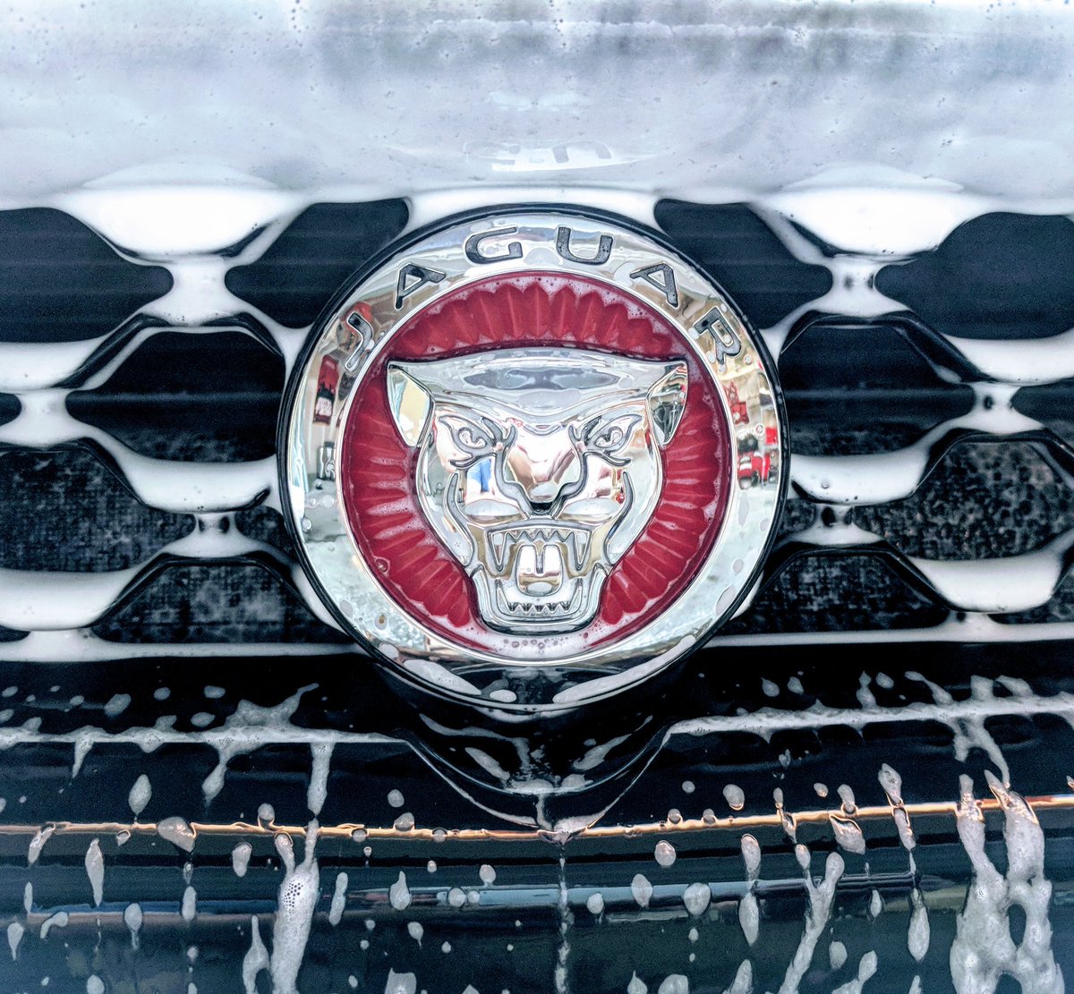 Tyler King tweet media