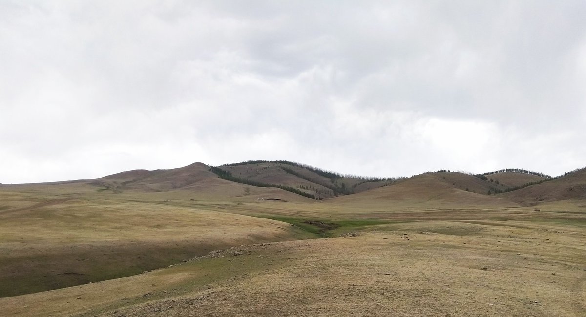 Хөдөөгүүр үнэн гантай, улаан халцгай байнаа :-( Санаагаар болдог бол 3 сая хүн 10, 10-хан мод арчилж ургуулаад агаар хөрснийхөө бүтцийг арай жаахан өөрчилчих юмсан. Тектоник хөдөлгөөний улмаас улам дээш өргөгдөж бгаа Монголын газар нутагт цаг агаар цаашид ч улам хална. #МодТарья