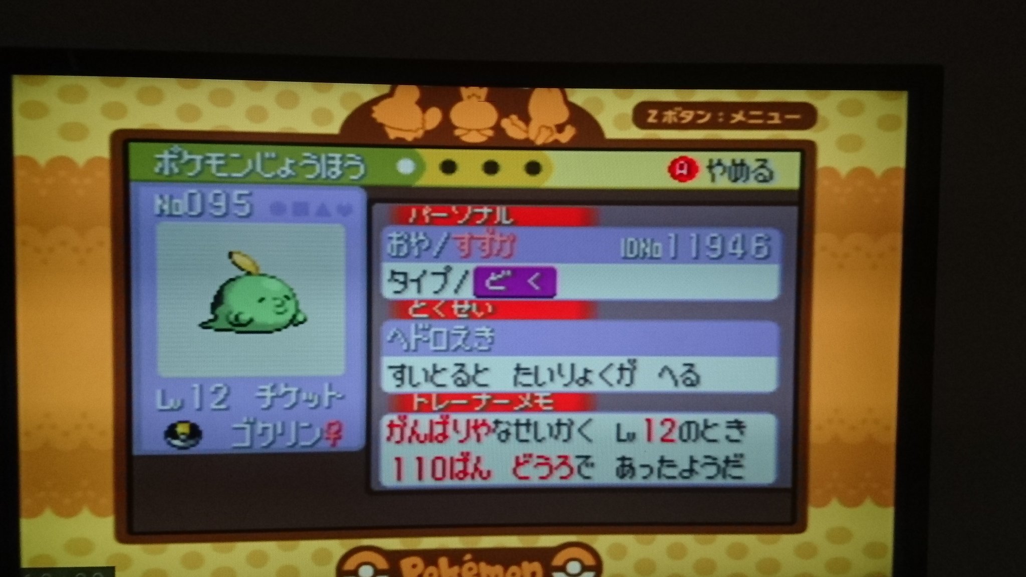 カズーイ ポケットモンスタールビー マボロシじま チイラのみの為にここまできました T Co Jdgutikqyu Twitter