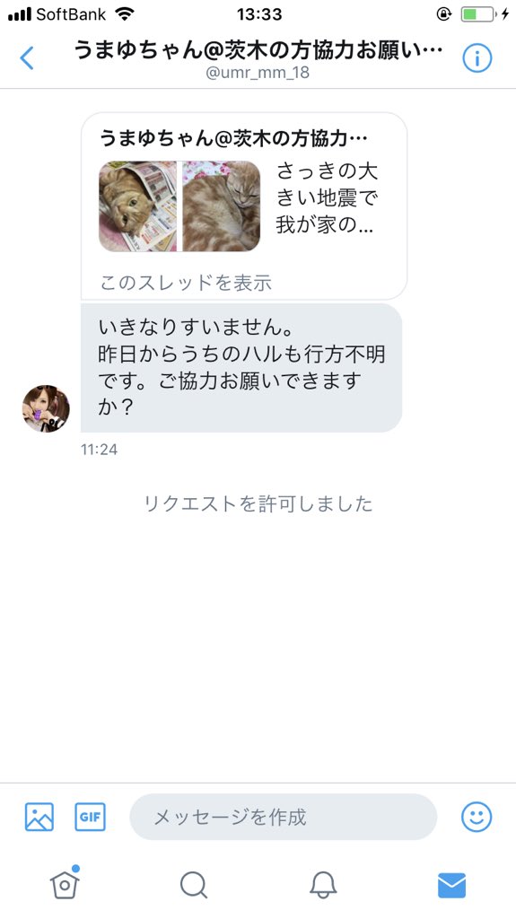 pet_kumamoto's tweet photo. umr_mm_18さんより

さっきの大きい地震で我が家のペット、ハルが逃げてしまった…どうしたはいいか分からんし家族みんながパニックです。大阪府茨木市に住んでる人スコティッシュフォールドのこの猫見かけたらすぐ連絡ください。お願いします、、 https://t.co/Xpkko14HWm