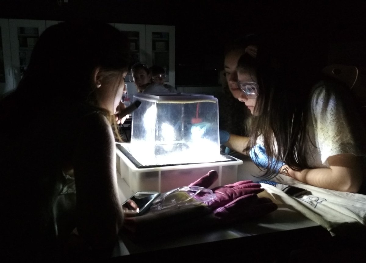 CERNtripetas's tweet image. Mis alumnos de hoy observando rayos cósmicos en la cámara de niebla que ellos mismos han montado en el @CERN. #Ilovephysics #scoollab