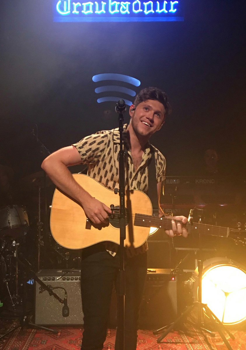 purelightnjh's tweet image. hola, estoy participando por una entrada para ver a niall, me harían el favor enorme de darle rt a este tweet, por favor? 🙏💛🍀 @lujigu2711