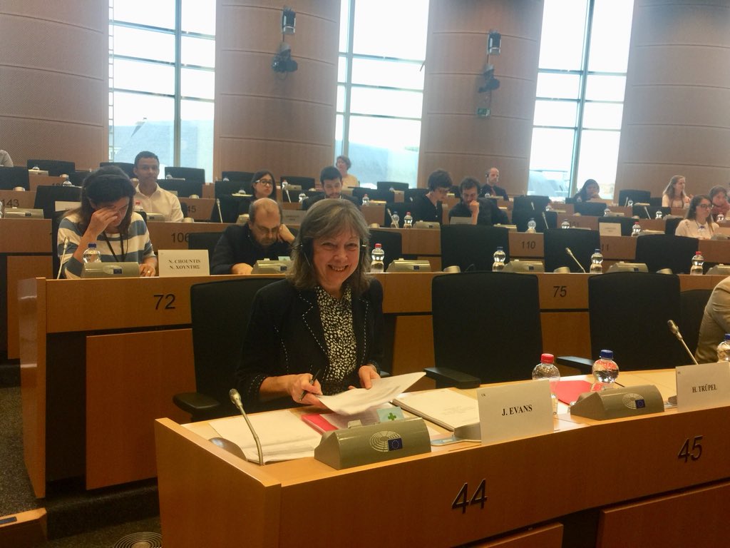 JillRhondda's tweet photo. Today the European Parliament’s Culture Committee adopted my report calling to bridge the digital language divide between Europe’s languages. 22 in favour and none against #languageequality https://t.co/mvNzHPkcdO