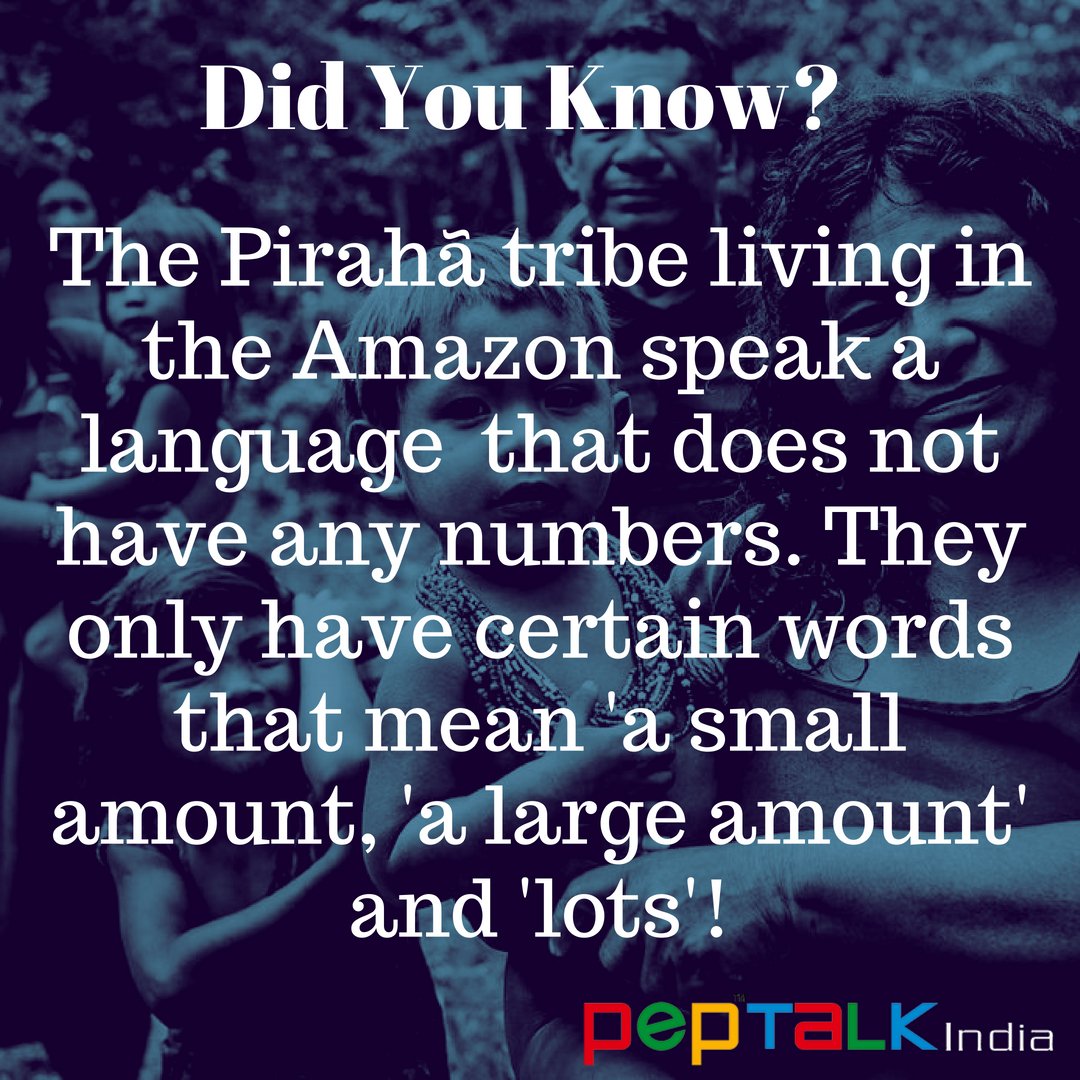 Cage Chronicles tweet media