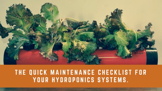 pindfresh's tweet photo. Here's a quick guide for all the beginners to know how to maintain their hydroponics system without any hassles. Give it a good read here - https://t.co/YQmS4PfM4K https://t.co/X2KNbQpZxp