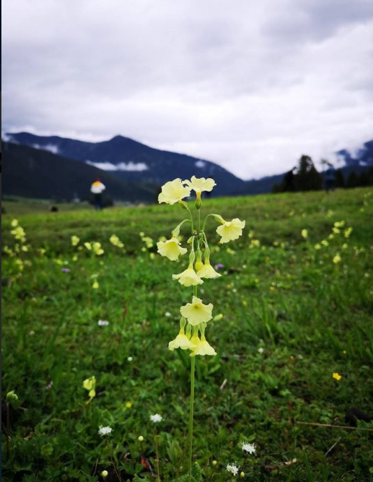 Work in a city without family members just like living in the world by own.