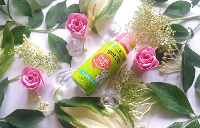 TylkoStyl's tweet photo. #Schwarzkopf #Got2b #Fresh it Up suchy szampon https://t.co/uKJDalUJtd #TuesdayThoughts #r4today #sun #love #sun #natural #cosmetics #nature #kosmetyki #veganism #cosmetology #sea #vegetarien #powergirl #hairs #blonde #beach #testing #vegan #detox #weekend #botanic #dry #schampoo https://t.co/2bkwiCYH0M
