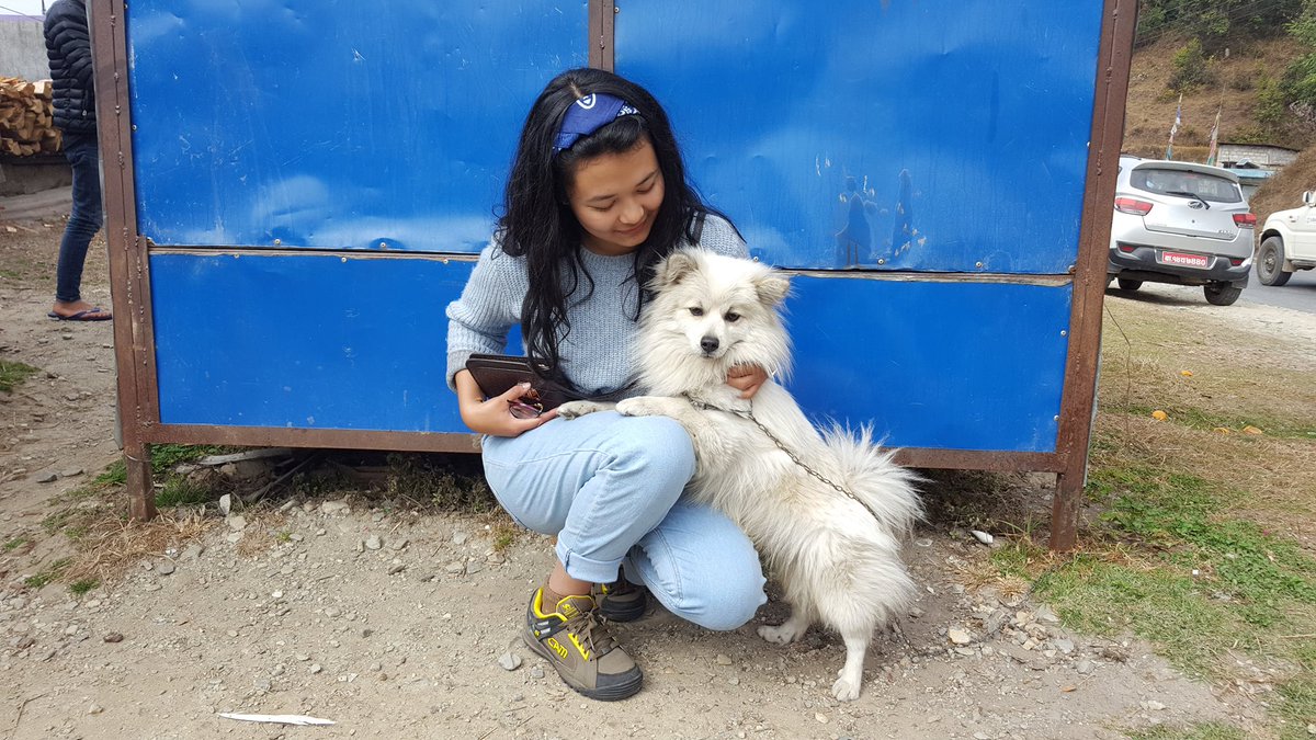PHNepal's tweet photo. "In Nepal, where people mistreat dogs, we must stand up to remind the citizens of the same humanity &amp; unconditional love that these animals teach us.” Meet 19-year-old Tina, the newest member of @PHNepal. Young activists like her give us hope for the animals in our community 🐶💕 https://t.co/jANFOKhWaO